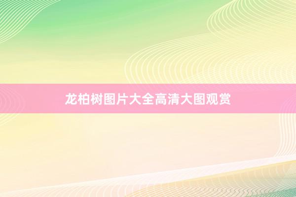 龙柏树图片大全高清大图观赏